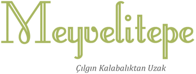 Meyveli Tepe blog sayfası logo